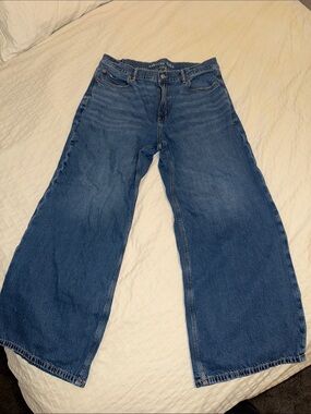 American Eagle Outfitters Wide Leg Blue Jeans Low Rise